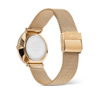 Daniel Wellington Crystalline Bezel Evergold Green Watch Watches Daniel Wellington