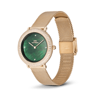 Daniel Wellington Crystalline Bezel Evergold Green Watch Watches Daniel Wellington