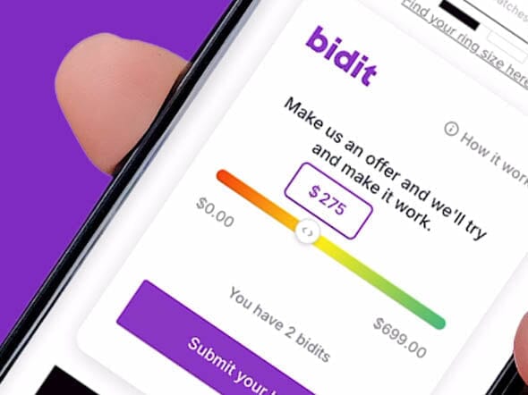 What is Bidit?