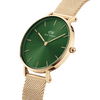 Daniel Wellington Petite Emerald 28 Gold & Green Watch Watches Daniel Wellington 