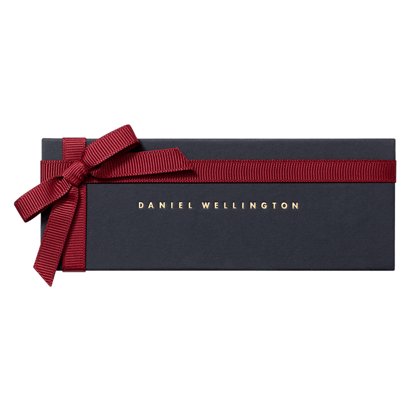 Daniel Wellington Classic 18 Southampton Silver Watch Band Watches Band Daniel Wellington 