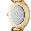 Daniel Wellington Petite 32 St Mawes Gold & White Watch Watches Daniel Wellington 