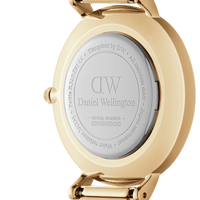 Daniel Wellington Petite 32 St Mawes Gold & White Watch Watches Daniel Wellington 