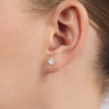 Halo Stud Earrings with 0.05ct of Diamonds in Sterling Silver Earrings Bevilles 