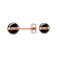 Daniel Wellington Aspiration Earrings Earrings Daniel Wellington 