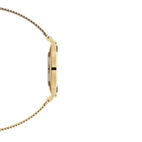 Daniel Wellington Petite 36 Evergold Gold & White Watch Watches Daniel Wellington 