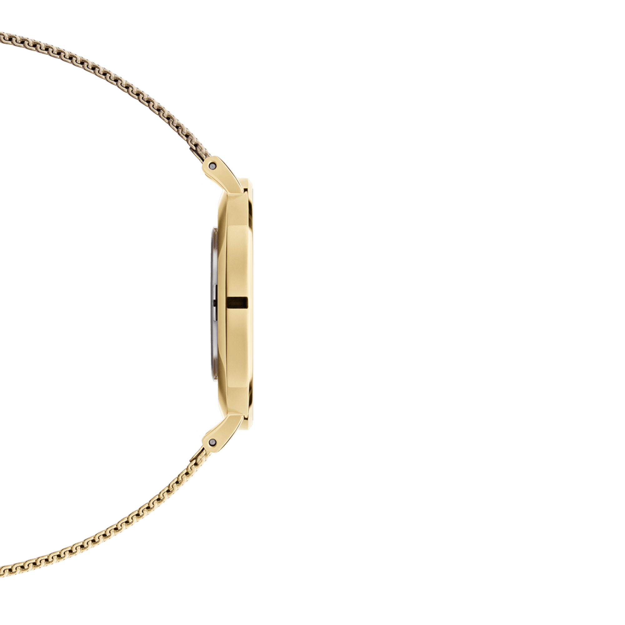 Daniel Wellington Petite 36 Evergold Gold & White Watch Watches Daniel Wellington 