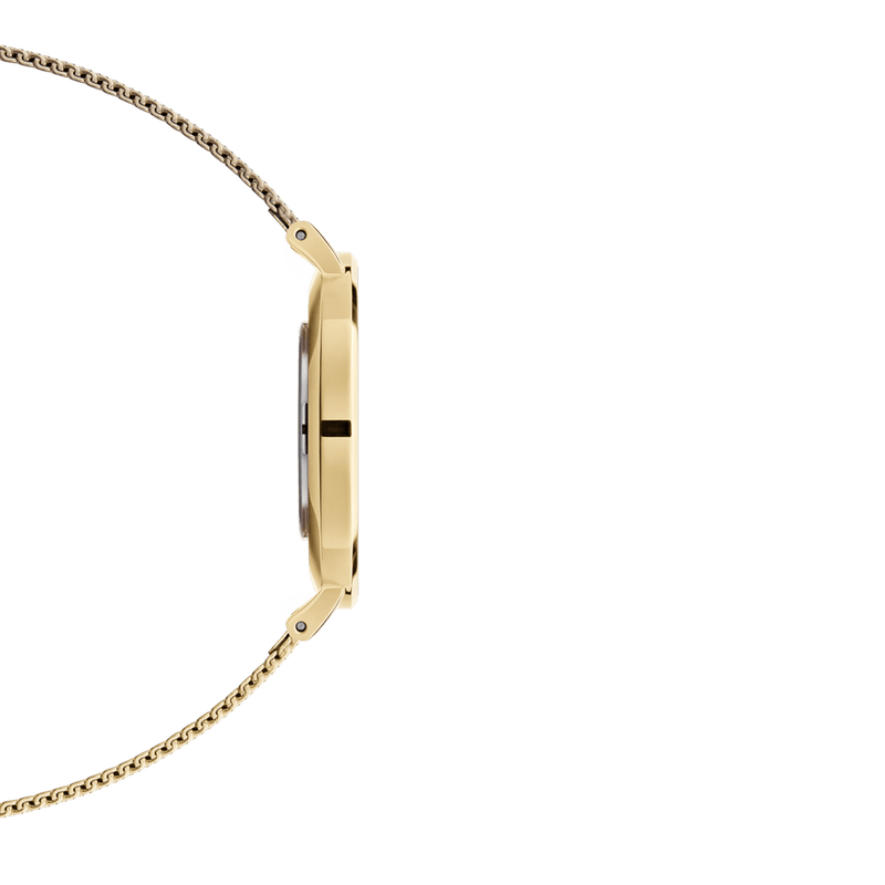 Daniel Wellington Petite 36 Evergold Gold & White Watch Watches Daniel Wellington 