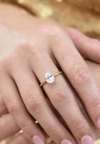 A CHRISTMAS JOURNEY ELLIPSE SOLITAIRE GOLD - 7 Bevilles Jewellers 
