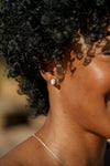 OPAL GLOW BLACKWATTLE WHITE CREATED OPAL EARRINGS SILVER Bevilles Jewellers 