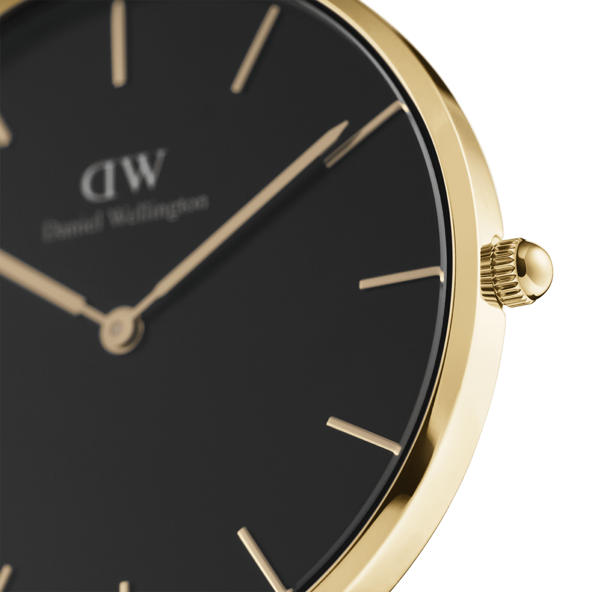 Daniel Wellington Petite 36 Evergold Gold & White Watch Watches Daniel Wellington 