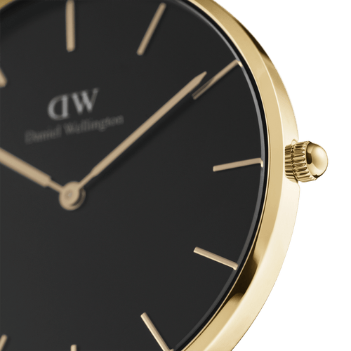 Daniel Wellington Petite 36 Evergold Gold & White Watch Watches Daniel Wellington 