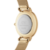 Daniel Wellington Petite 36 Evergold Gold & White Watch Watches Daniel Wellington 