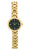 Roberto Carati Willow Green and Yellow Gold Toned Women's Watch M9316-V4