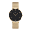 Daniel Wellington Petite 36 Evergold Gold & White Watch Watches Daniel Wellington 