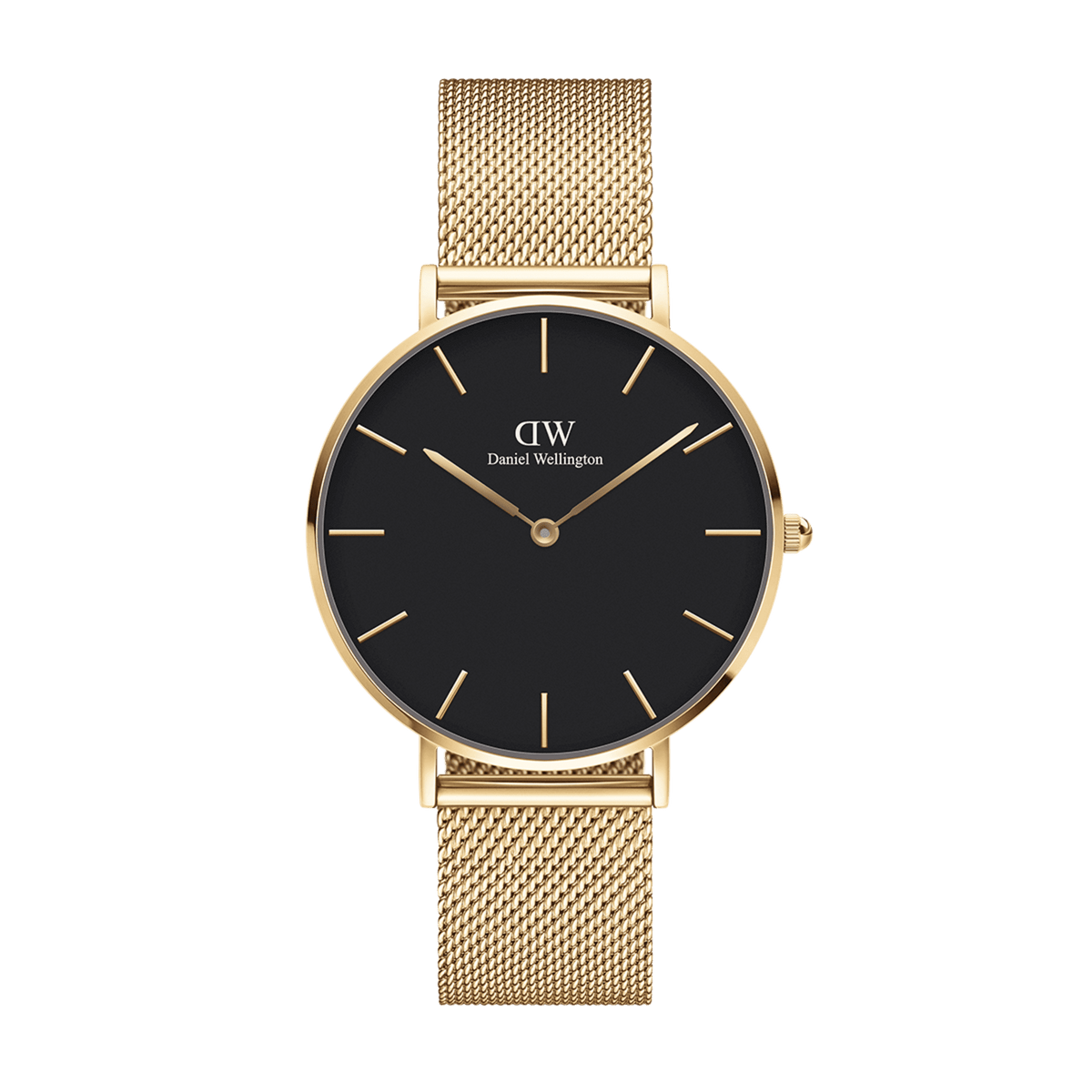 Daniel Wellington Petite 36 Evergold Gold & White Watch Watches Daniel Wellington 