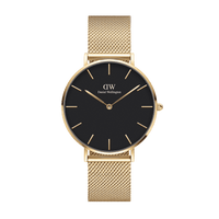 Daniel Wellington Petite 36 Evergold Gold & White Watch Watches Daniel Wellington 