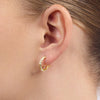 9ct Yellow Gold Silver Infused Hoops- 2mm x10mm Earrings Bevilles 