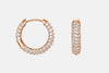 Daniel Wellington Pavé Earrings RG Earrings Daniel Wellington 