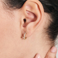 Gold Sparkle Cluster Huggie Hoop Earrings Earrings Ania Haie 