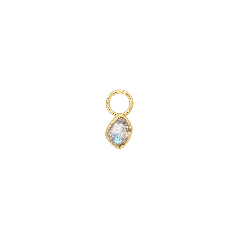 Ania Haie Gold Labradorite Earring Charm Charm Ania Haie 