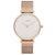 JAG Alice Ladies Watch J2521A