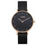 JAG Alice Ladies Watch J2522A
