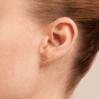 3mm Ball Stud Earrings in 9kt Rose Gold Earrings Bevilles 