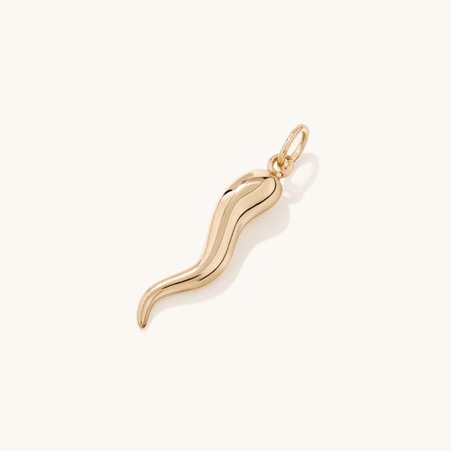 Cornicello Pendant in 9kt Yellow Gold Pendants Bevilles 
