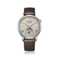 Citizen Dress Silver and Brown Watch NH9130-17A Watches Citizen 