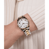 Guess Dress Luna Dress Two-Tone Day/Date Women's Watch GW0308L6 Watches Bevilles Jewellers 