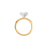 2.00ct Laboratory Grown Diamond Six Claw Solitaire Ring in 18kt Yellow Gold and 18kt White Gold Rings Bevilles 