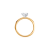 1.00ct Laboratory-Grown Diamond Solitaire Ring in 18kt Yellow Gold and 18kt White Gold Rings Bevilles 