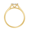 Circular Ring with 0.05ct of Diamonds in 9ct Yellow Gold Bevilles Jewellers 