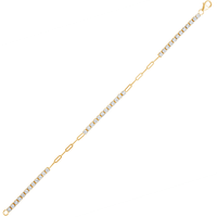 18cm Paperclip Tennis Bracelet with 0.35tw of Diamonds in 9kt Yellow Gold Bracelets Bevilles 