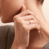 3mm High Dome Wedding Band in 9kt Yellow Gold Rings Bevilles 