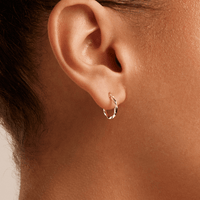 10mm Round Twist Hoop Earrings in 9kt Yellow Gold Earrings Bevilles 