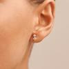 Duo Stud Earrings with 0.50tw of Laboratory-Grown Diamonds in 9kt Yellow Gold Earrings Bevilles 