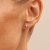 Marquise Stud Earrings with 0.30tw of Laboratory-Grown Diamonds in Sterling Silver and Platinum Earrings Bevilles 
