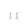Cubic Zirconia Marquise Cluster Stud Earrings in Sterling Silver Earrings Bevilles 