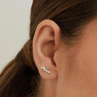 Cubic Zirconia Marquise Cluster Stud Earrings in Sterling Silver Earrings Bevilles 