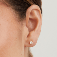 4mm Cubic Zirconia Claw Stud Earrings in 9kt Yellow Gold Earrings Bevilles 