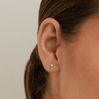 2mm Cubic Zirconia Claw Stud Earrings in 9kt Yellow Gold Earrings Bevilles 