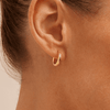 10mm Diamond-Cut Hoop Earrings in 9kt Bonded Yellow Gold Earrings Bevilles 