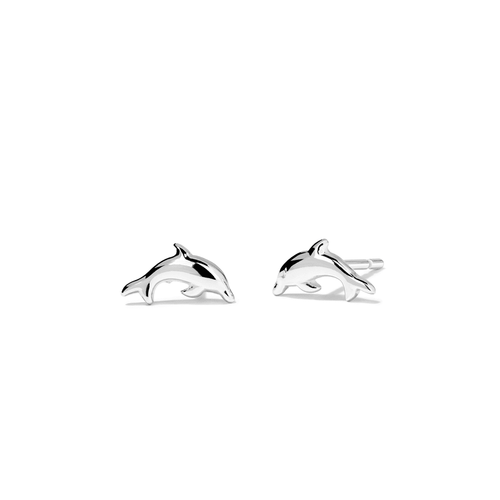 Dolphin Stud Earrings in Sterling Silver Earrings Bevilles 