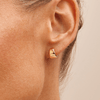 Tapered Hoop Stud Earrings in 9kt Yellow Gold Earrings Bevilles 