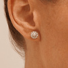 Miracle Set Halo Stud Earrings with 0.10tw of Diamonds in Sterling Silver Earrings Bevilles 