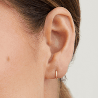 6mm Twist Sleeper Earrings in 9kt Yellow Gold Earrings Bevilles 