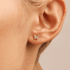 Cluster Butterfly Stud Earrings with 0.05tw of Laboratory-Grown Diamonds in 9kt Yellow Gold Earrings Bevilles 