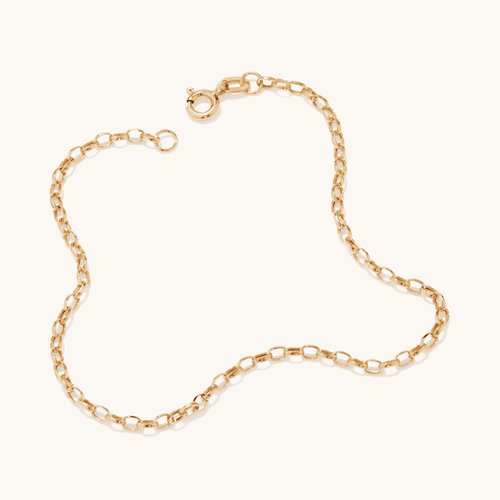 19cm Hollow Oval Belcher Chain in 9kt Yellow Gold Bracelets Bevilles 